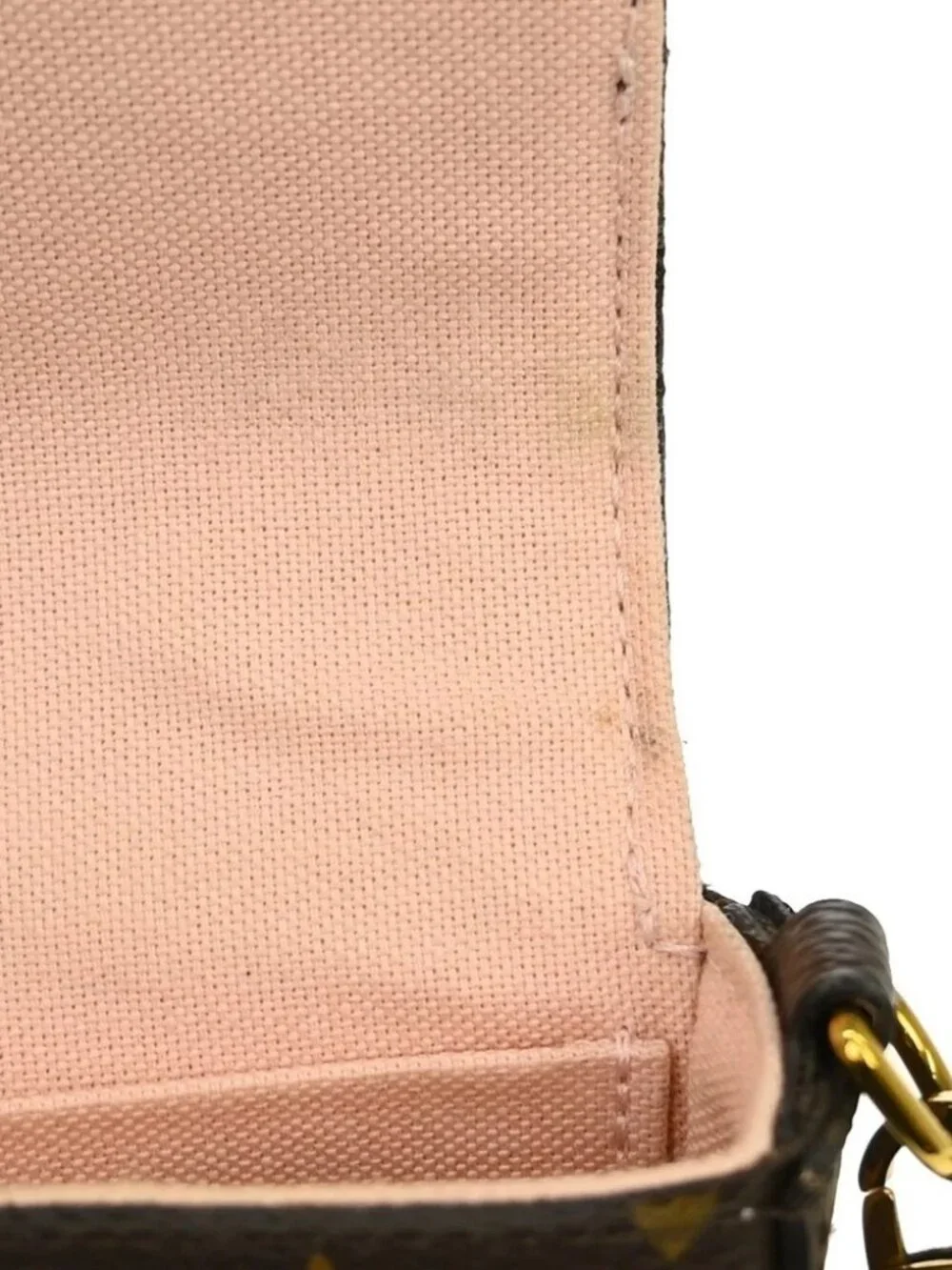 LOUIS VUITTON POCHETTE FELICIE VALENTINE DOG SHOULDER BAG